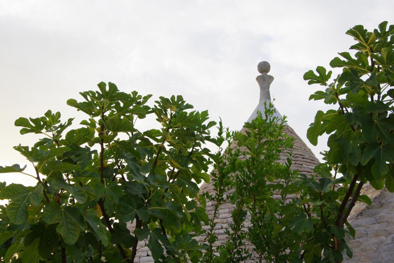 Masseria Sciaiani Piccola Villa Castelli Exterior foto